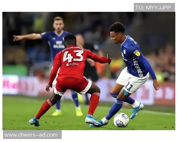 加的夫城与布赖顿的激烈对决谁能在英超赛场上笑到最后