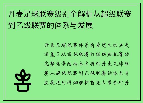 丹麦足球联赛级别全解析从超级联赛到乙级联赛的体系与发展