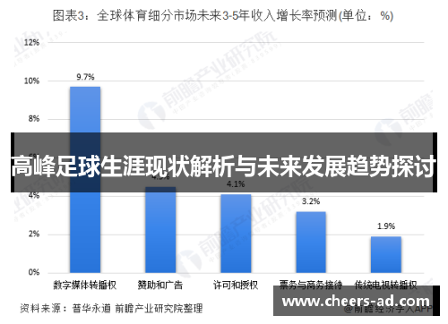 高峰足球生涯现状解析与未来发展趋势探讨