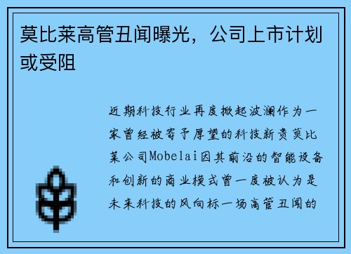 莫比莱高管丑闻曝光，公司上市计划或受阻