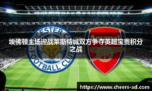 埃佛顿主场迎战莱斯特城双方争夺英超宝贵积分之战